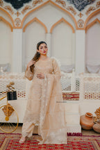 3PC-SUIT D/B LINE | 1002-HL