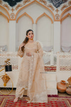 3PC-Stich| Embroidered dress-1025