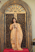 3PC-Stich| Embroidered dress-1023